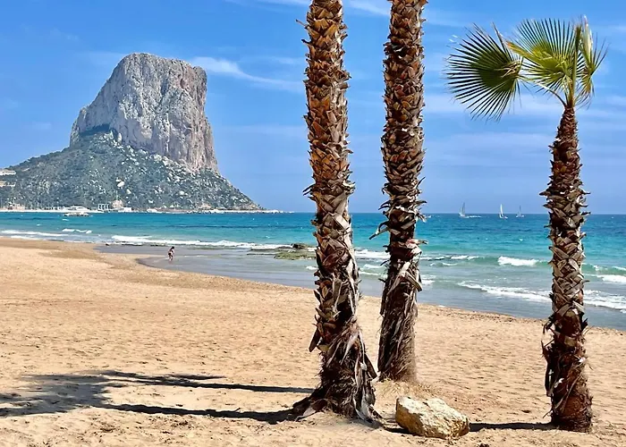 Colibri Comodo, Bonito, Centrico Calp
