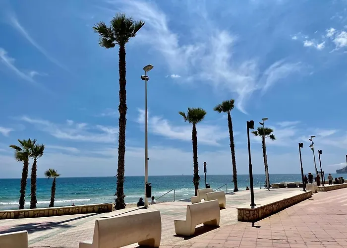 Colibri Comodo, Bonito, Centrico Calp